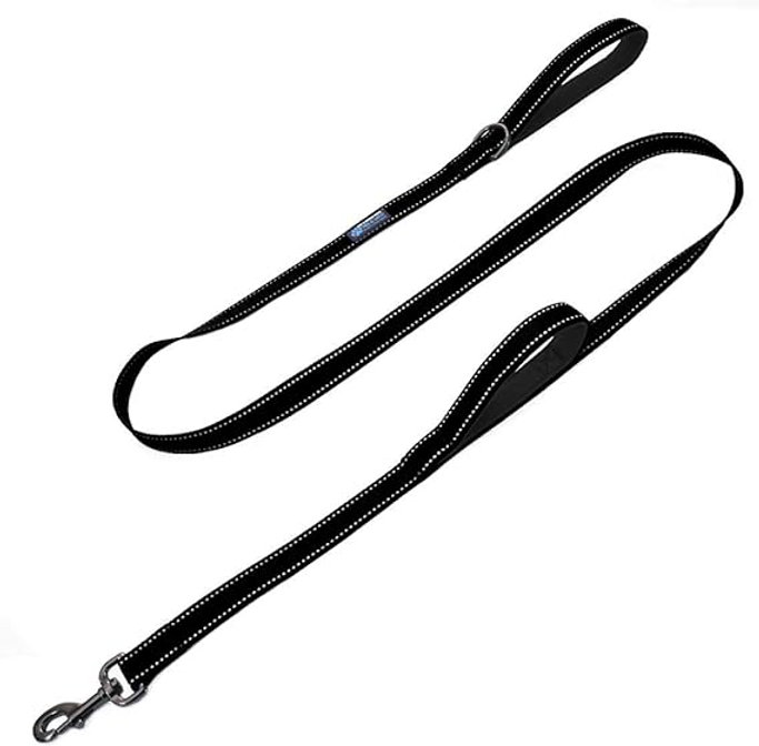 Finding the Perfect Dog Leash: A Guide to Smart Purchase